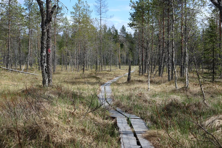 Hepoköngäs geologinen luontopolku
