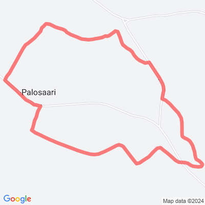Palosaari Metsänvartijan polku