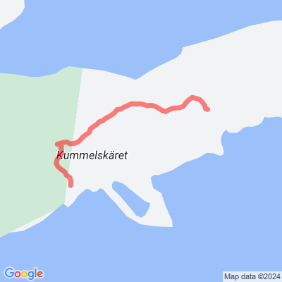 Mickelinsaaret luontoaseman luontopolku