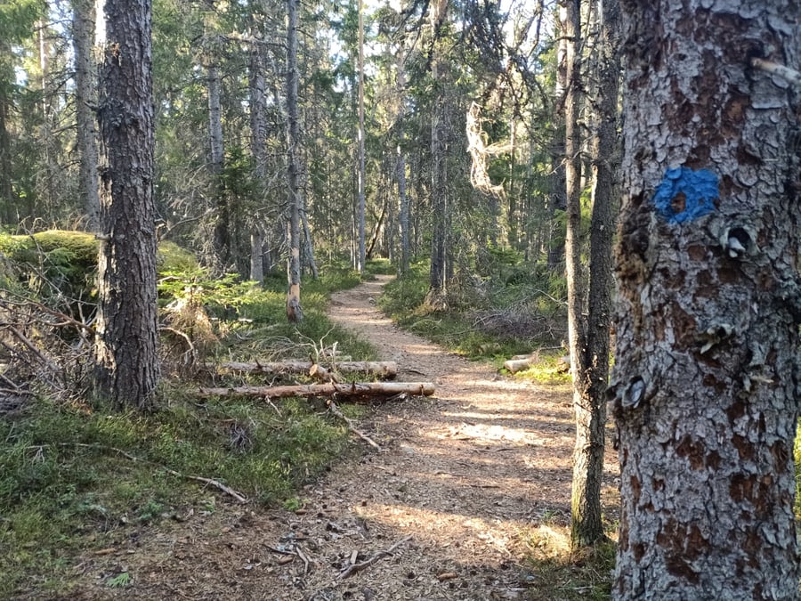 Öjenin luontopolku