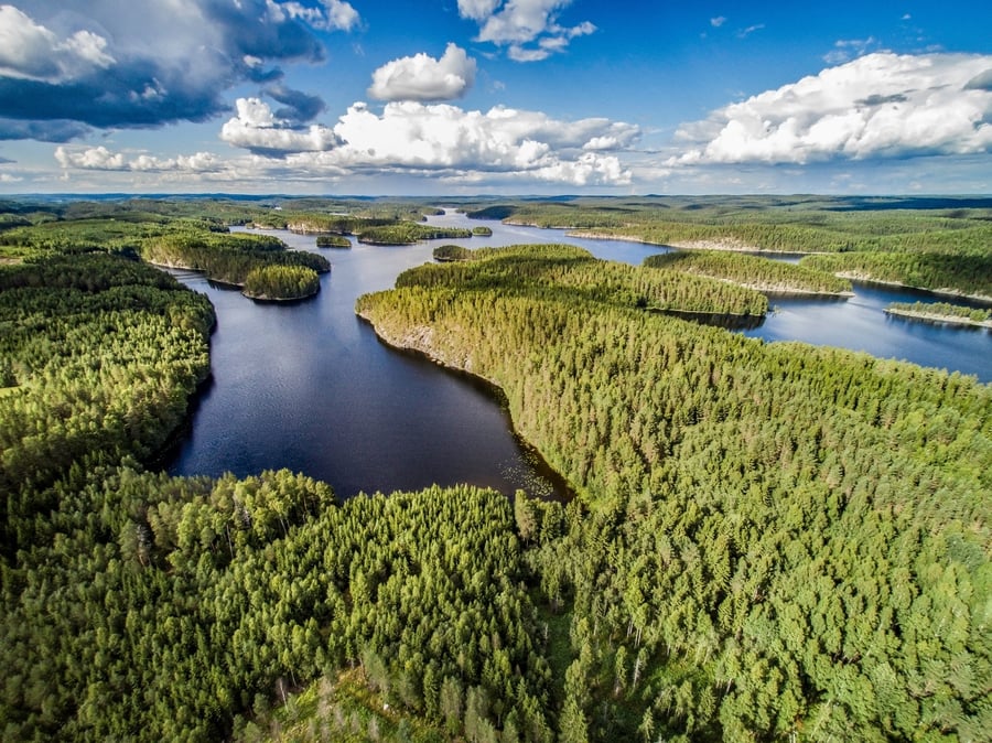 Nahkiaissalo luontopolku