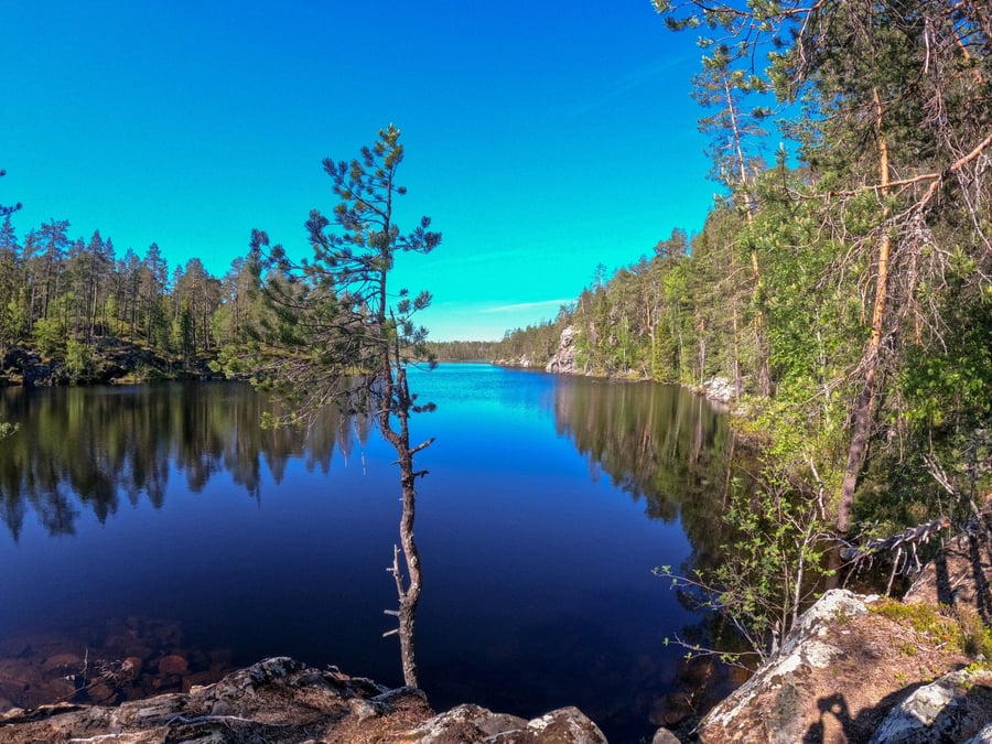 Vuorilampi luontopolku