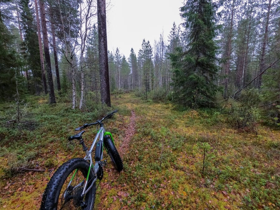 Hallan pyöräreitti Ukkohalla - Suomussalmen raja