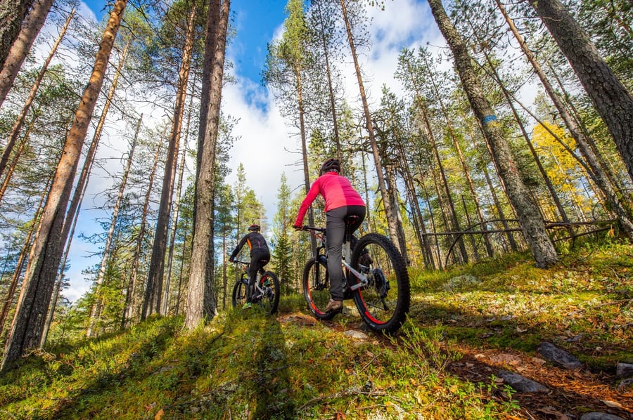 Pieni Tuomivaara maastopyöräilyreitti