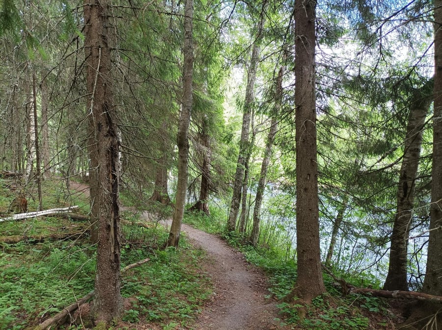 Väliveden reitti (lyhyt)