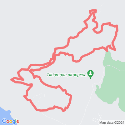 Tiirismaan villilenkki
