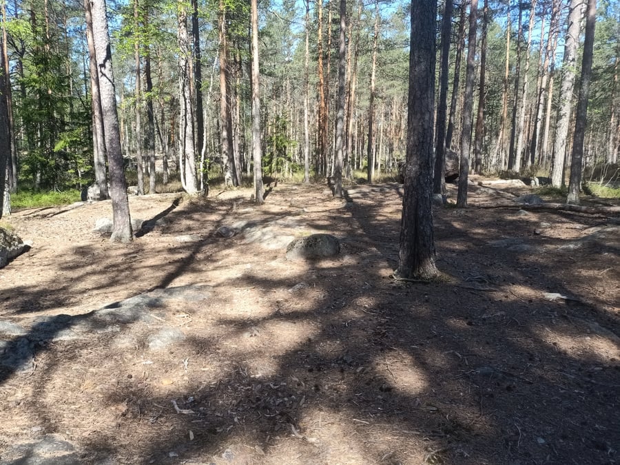Mustalammen länsipuolen telttailualue