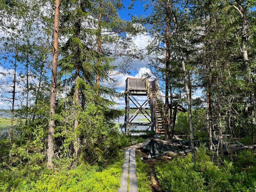 Mulkkujärven lintutorni