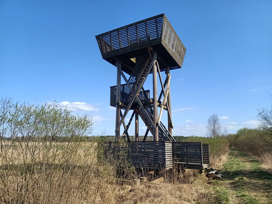 Patalahden lintutorni länsi
