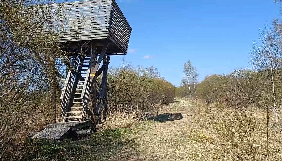 Patalahden lintutorni pohj