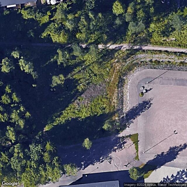 Riha frisbeegolf
