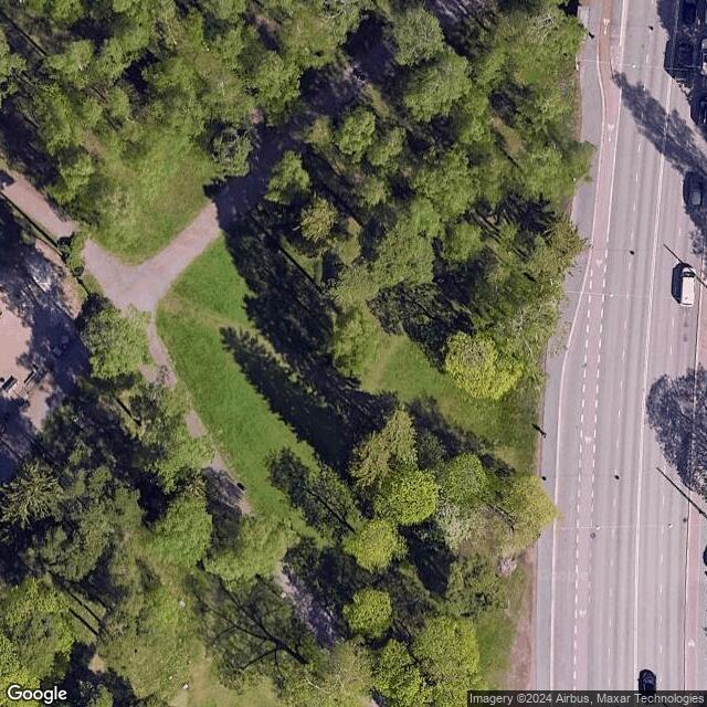 Sibeliuksenpuisto / Frisbeegolfin harjoitusalue