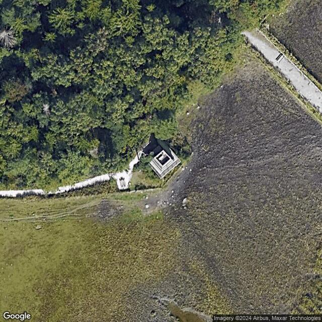 Villa Elfvikin lintutorni