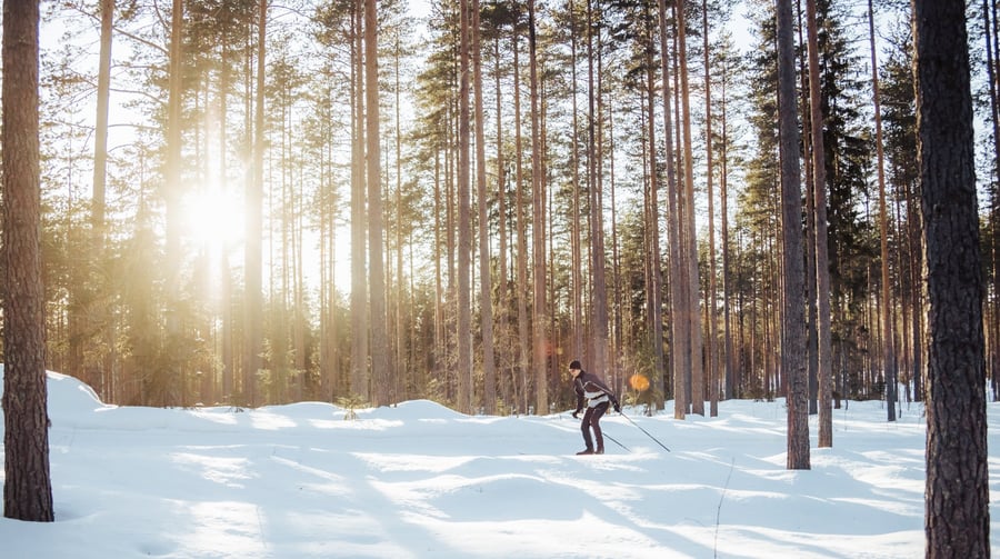 Harjumaja-Kirkonkylä harjureitti