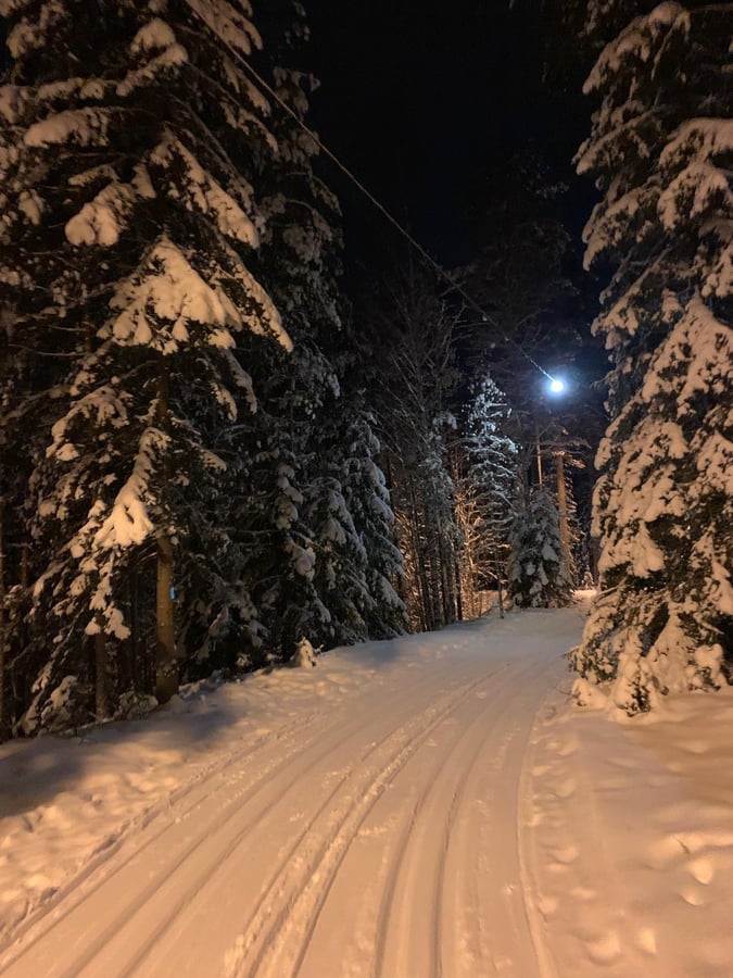 Ojalankankaan valaistu latu