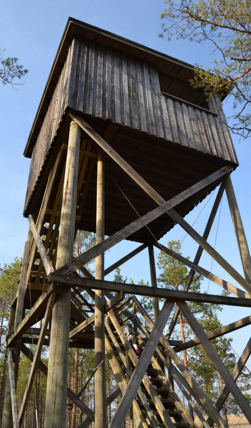 Evijärven lintutorni