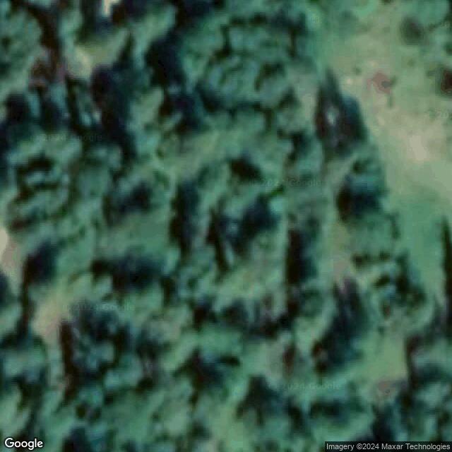 Korouoma Nuotiopaikka 1