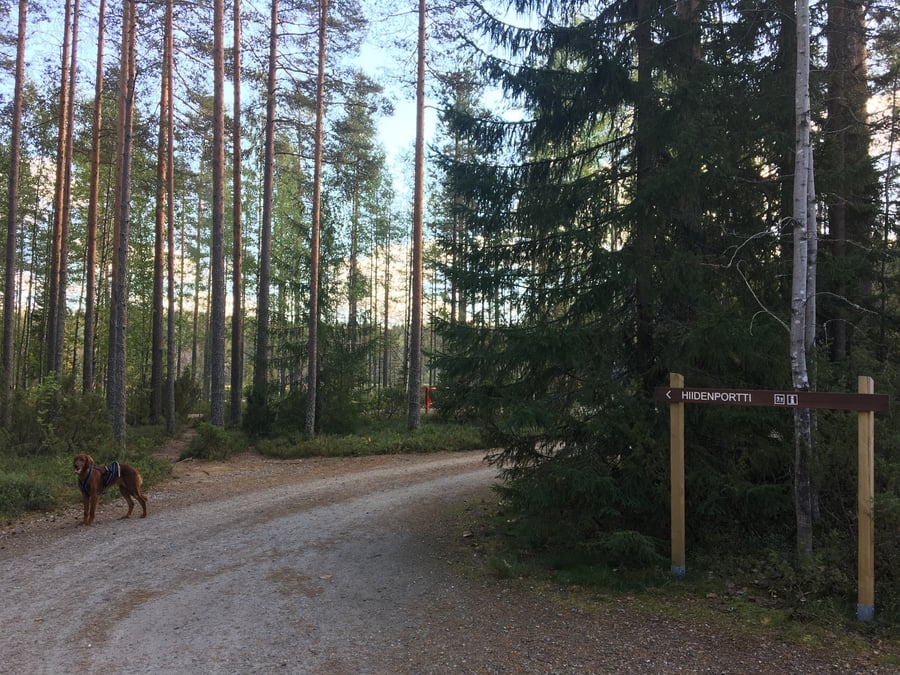 Palolampi pysäköintipaikka