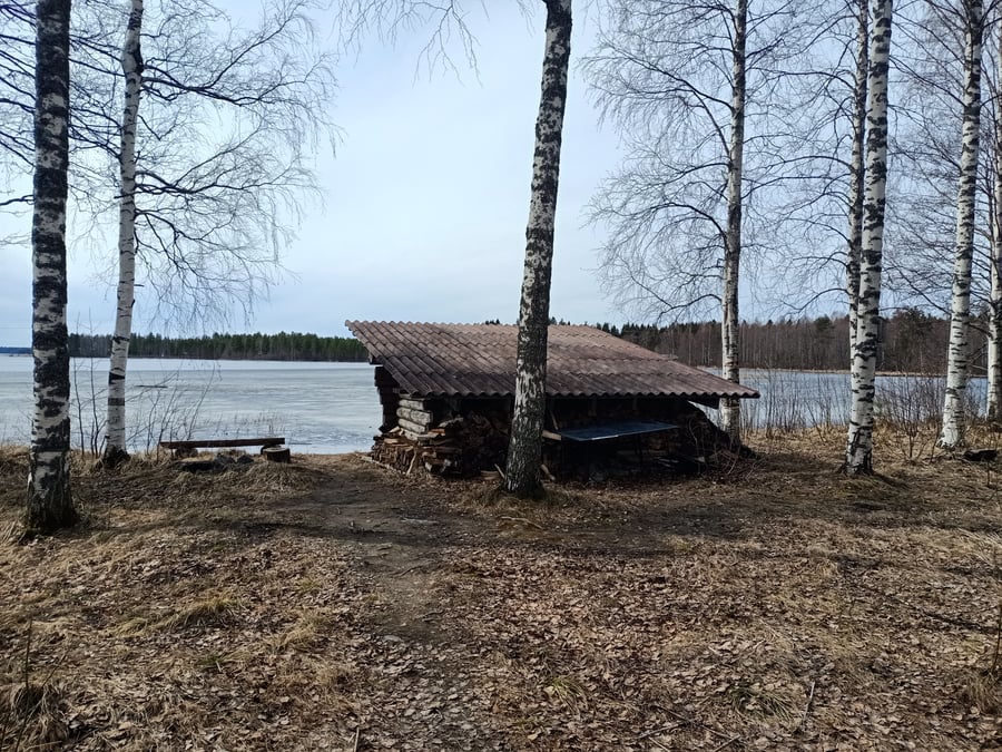 Säviän laavu