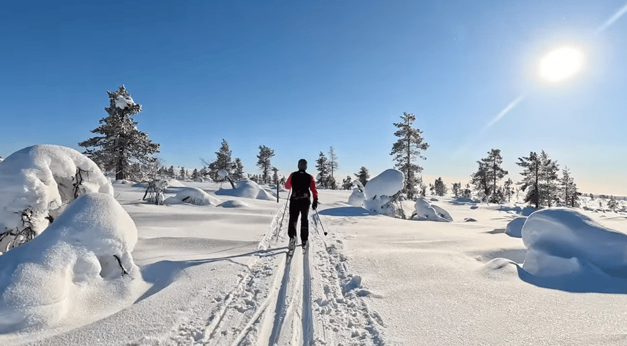 Latu Saariselkä-Tolosjoki-Laanila