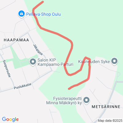Metsärinteen lenkki