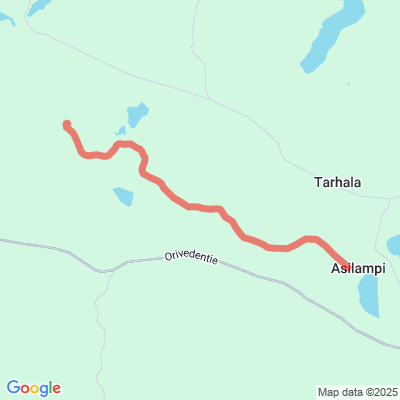asilammen metsä-autotien latu
