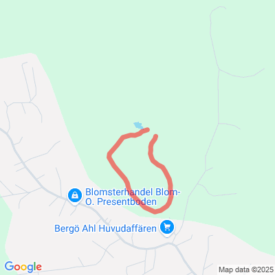 Bergön hiihtolatu