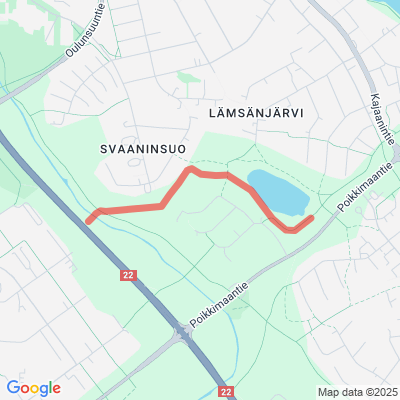 Lämsänjärven pistolatu