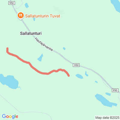 Sallatunturi-Poropuisto-Sallatunturi-latu
