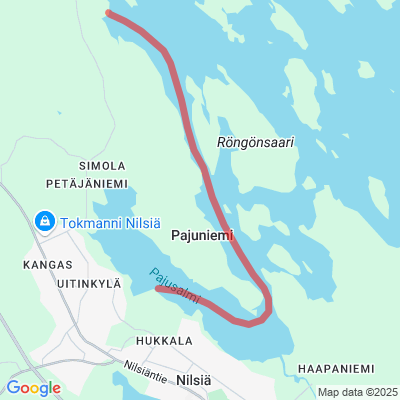 Puhdistamo - Nilsiänlahti Moottorikelkkaura