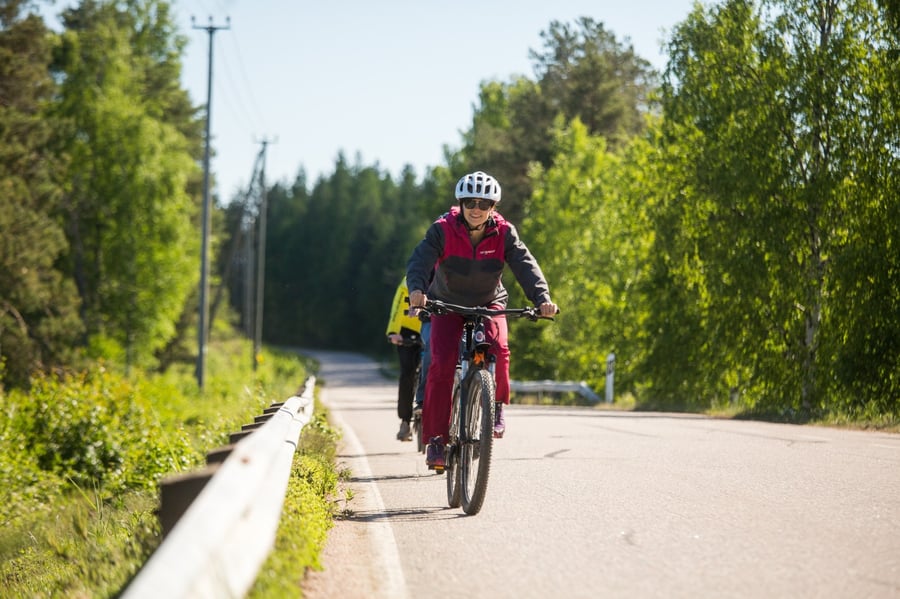 Puruveden ympäriajo