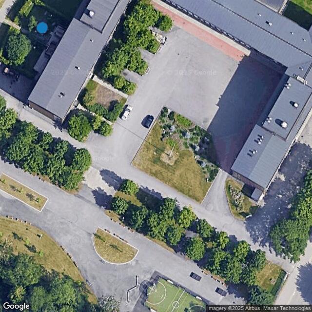Helsingin yhteislyseo / Lähiliikuntapaikka