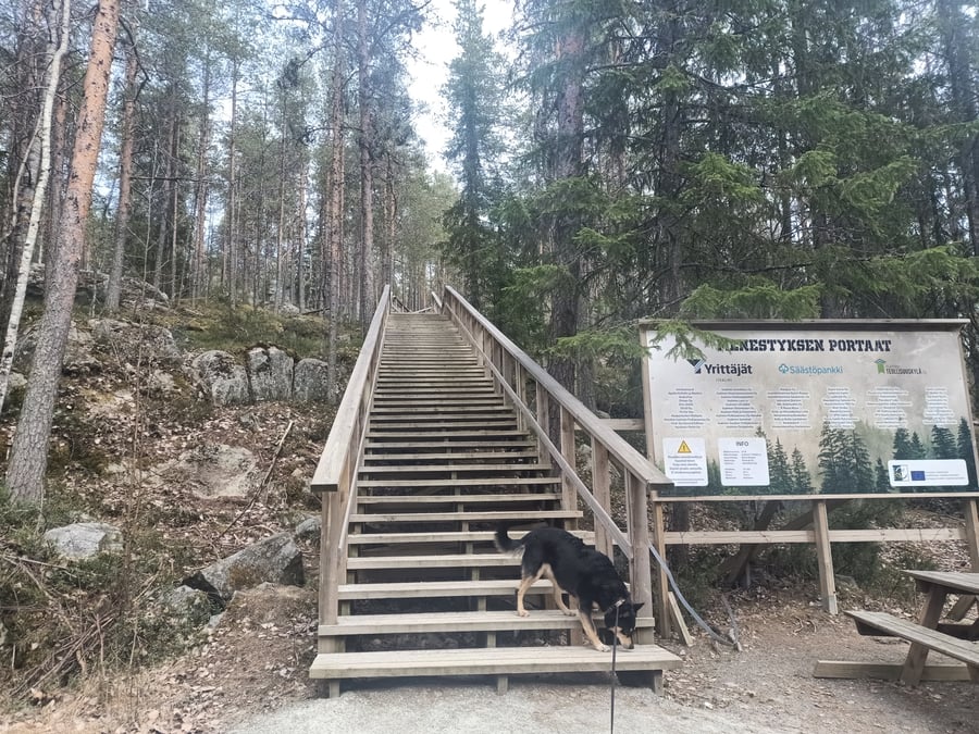Paloisvuoren portaat