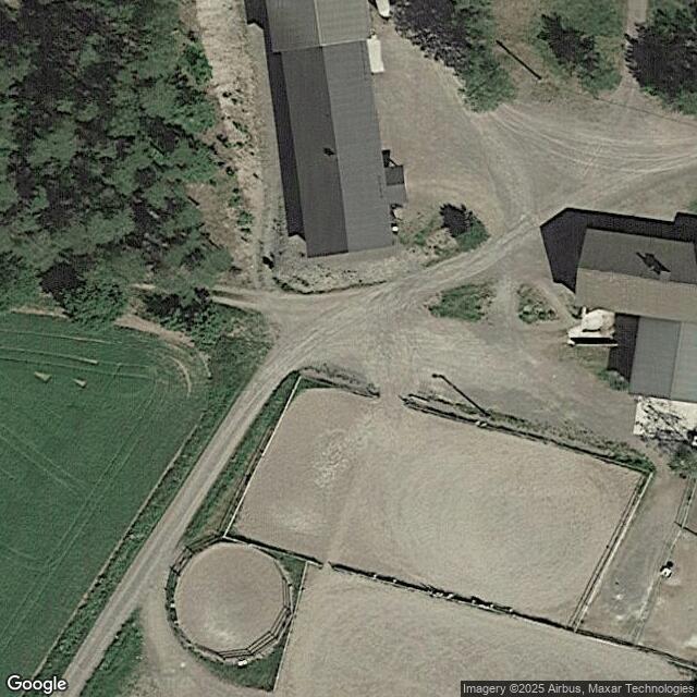 Hannulan ratsutilan kenttä