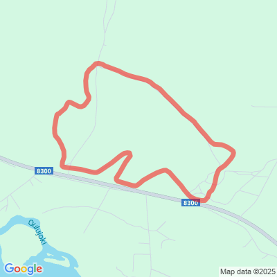 Kiekonreitti