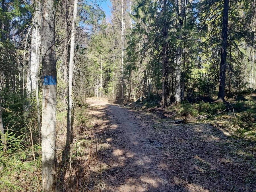Paloisvuoren-Saunaniemen koira-/sauvakävelypolku