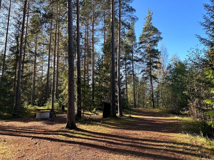 Ojalankankaan valaistu kuntorata