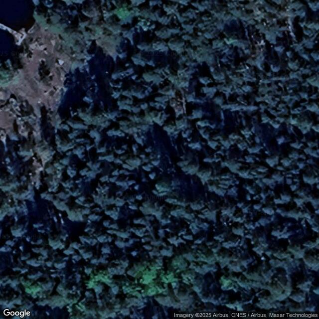 Äijänniemi puucee