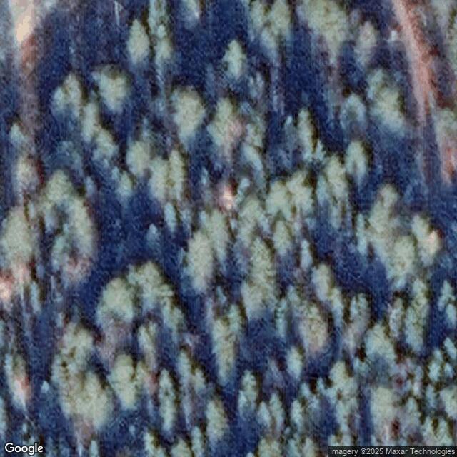 Teerisuo P-paikan käymälä