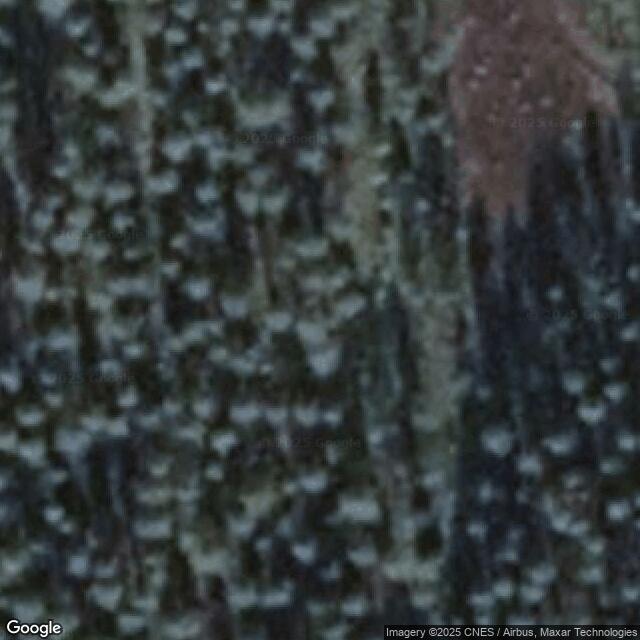 Huuhkajanniemi kuivakäymälä