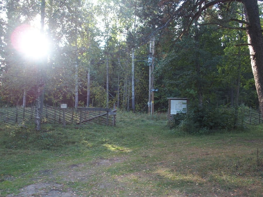 Naapurinvaaran Lepikon lenkki parkkipaikka