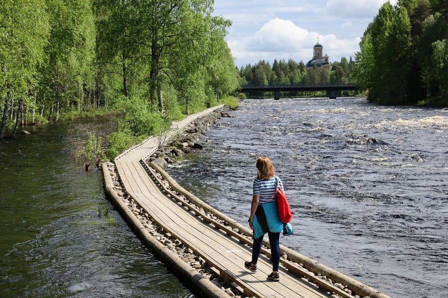 Pajakkakosken vetomöljä