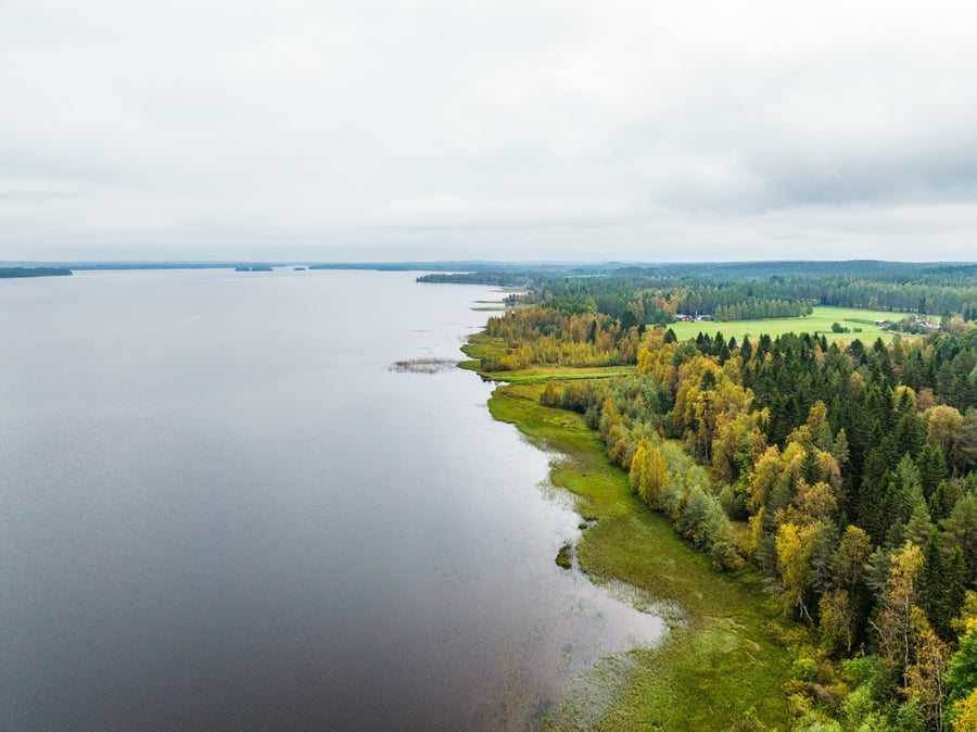 Lehtosaaren laavu Kiimasjärvi
