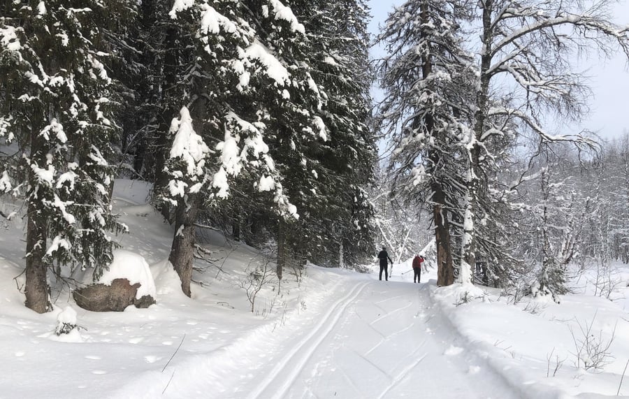 Latvavaaran latu, 17 km, Paljakka