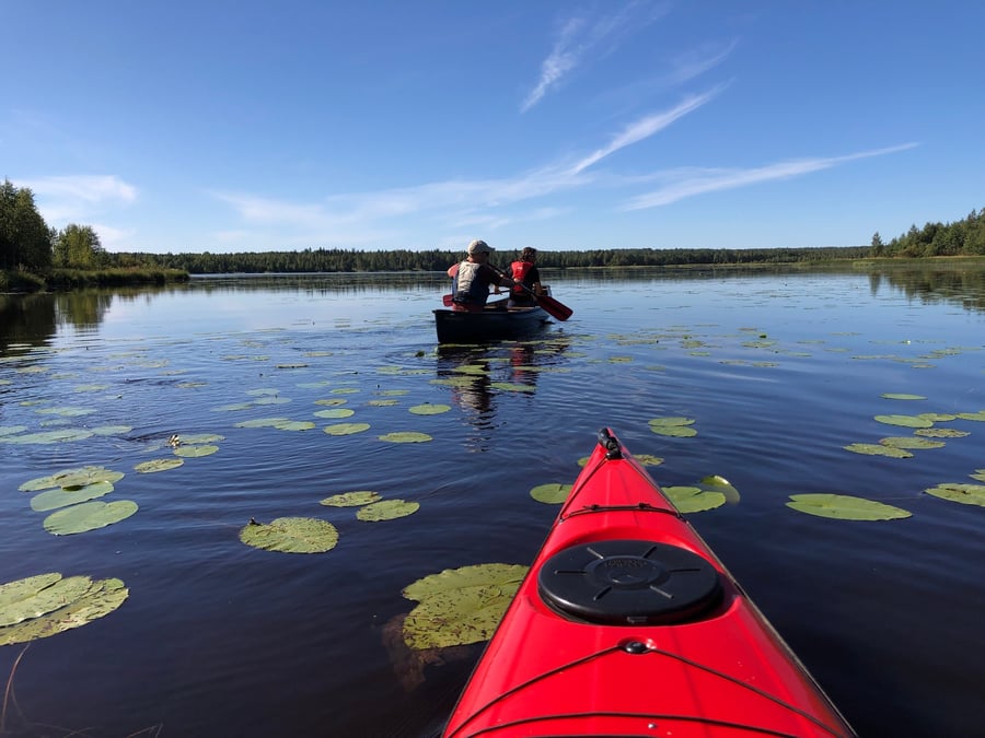 Melontaretki Särämäjärven lintuvesille