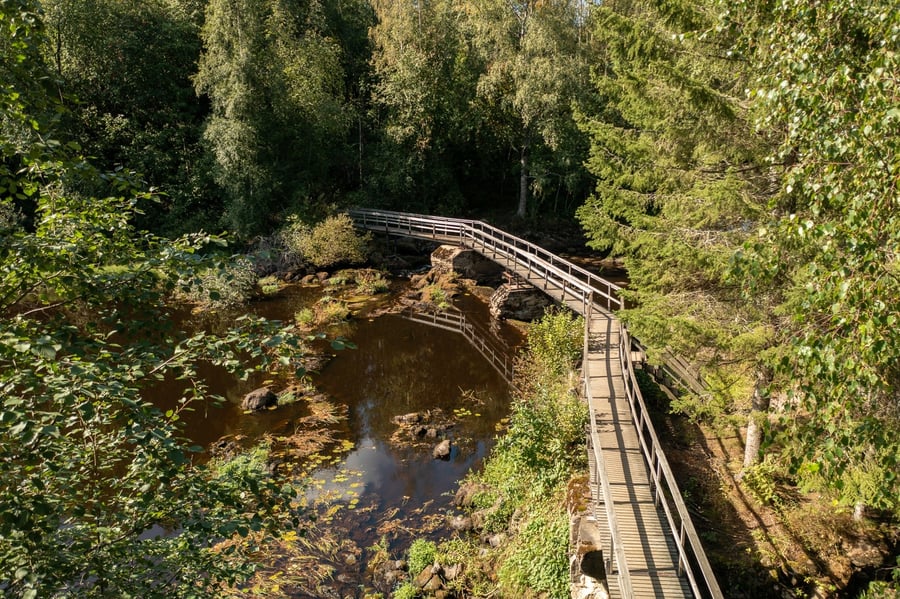 Sarvikkaankosket 