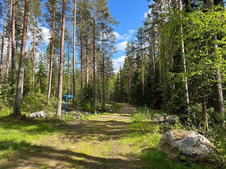 Koninkorven lenkki