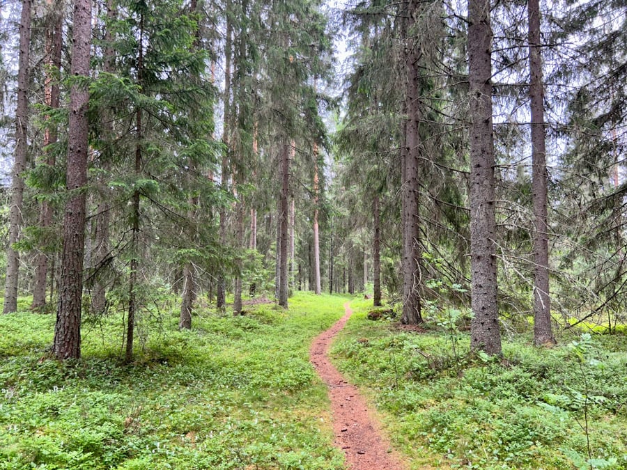Ilomäen lenkki