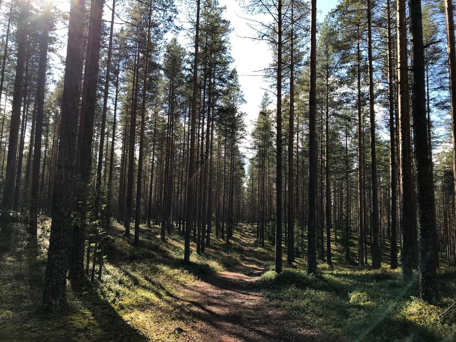 Paavolan reitti, Soini ja Ähtäri