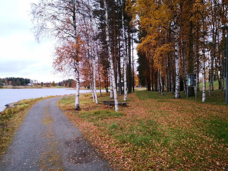Meteoriittipolku